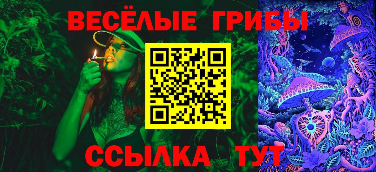 Тихвин  Галлюциногенные грибы GOLDEN TEACHER  Вход с VPN 