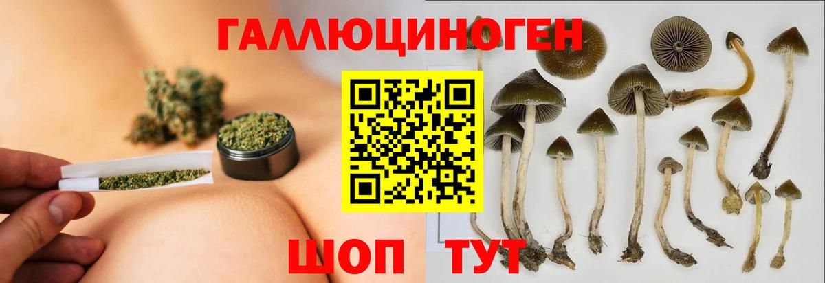 Галлюциногенные грибы мухоморы Тихвин